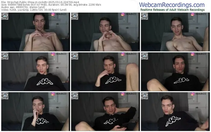 stripchat-nickdtr-03-16-2025-22-47-09