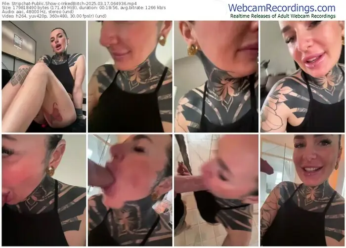 stripchat-inkedbiitch-03-17-2025-06-49-36