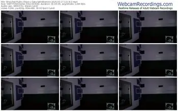 stripchat-sakuraanddemon-03-17-2025-12-13-12