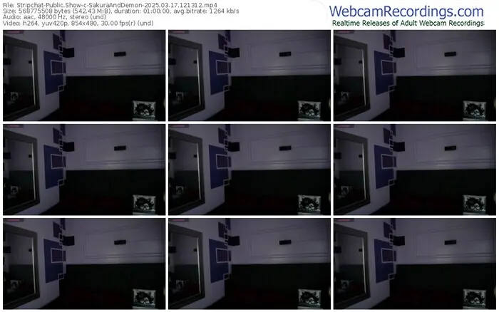 stripchat-sakuraanddemon-03-17-2025-12-13-12
