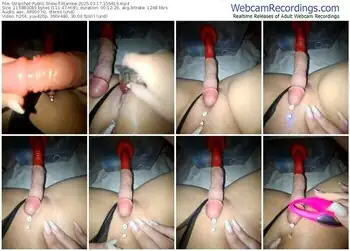 stripchat-iitaniee-03-17-2025-15-56-16