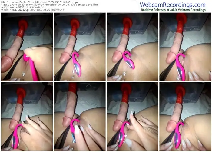 stripchat-iitaniee-03-17-2025-16-10-01