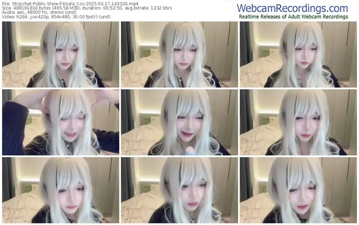 stripchat-koala_cici-03-17-2025-16-33-20