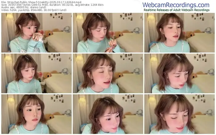stripchat-onekitty-03-17-2025-16-06-44