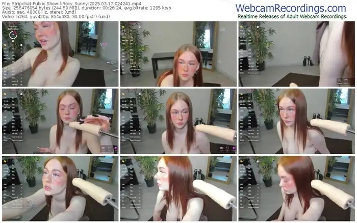 stripchat-roxy_sunny-03-17-2025-02-42-41