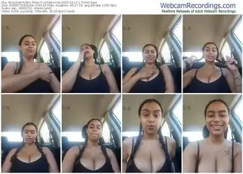 stripchat-cinnaminnie-03-17-2025-17-19-33