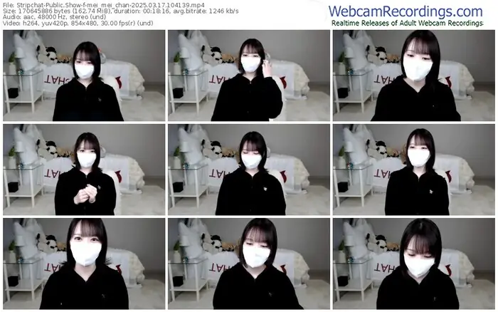 stripchat-mei_mei_chan-03-17-2025-10-41-39