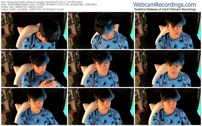 stripchat-angel_david-03-17-2025-15-15-52