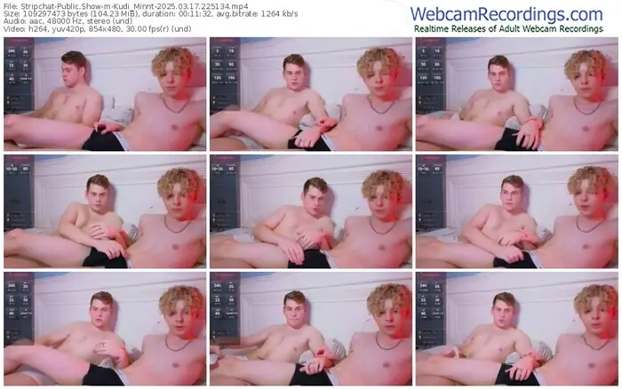 stripchat-kudi_minnt-03-17-2025-22-51-34