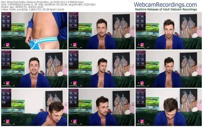 stripchat-promethe_us-03-17-2025-10-48-29