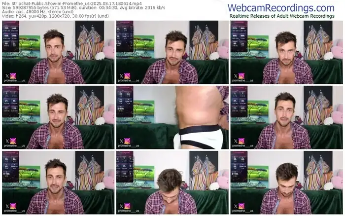 stripchat-promethe_us-03-17-2025-18-06-14