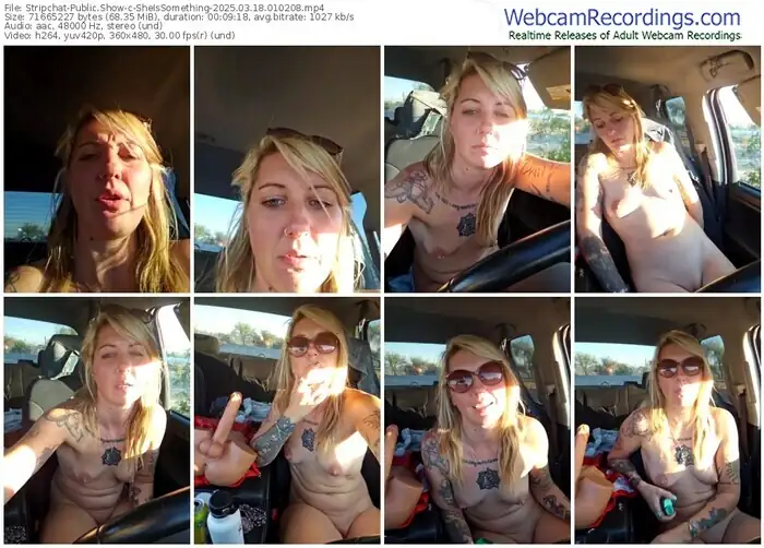 stripchat-sheissomething-03-18-2025-01-02-08
