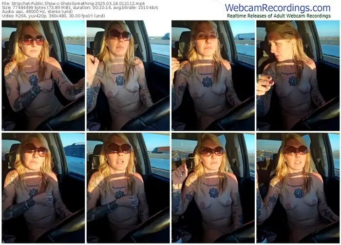 stripchat-sheissomething-03-18-2025-01-21-12