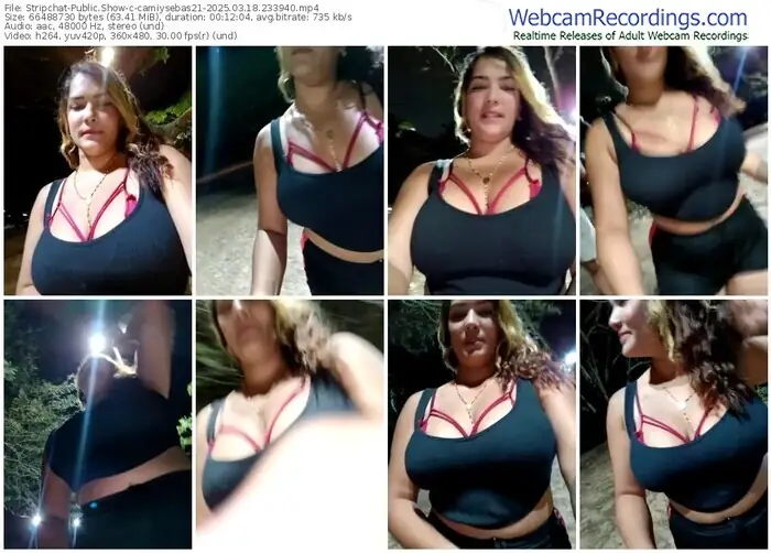 stripchat-camiysebas21-03-18-2025-23-39-40