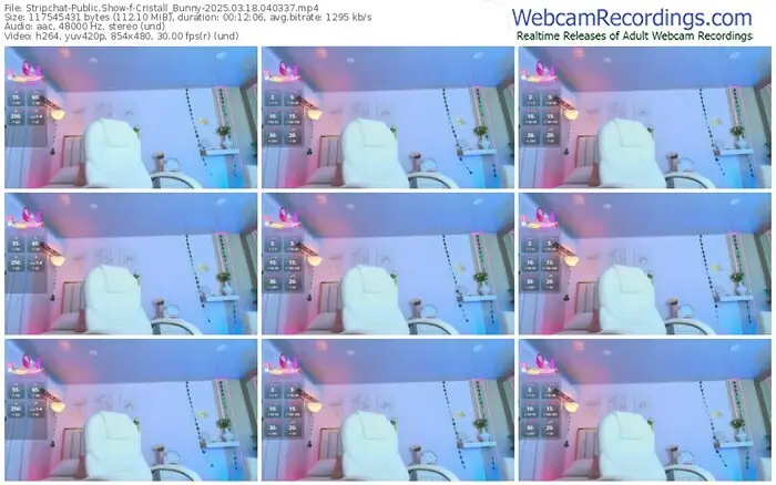 stripchat-cristall_bunny-03-18-2025-04-03-37
