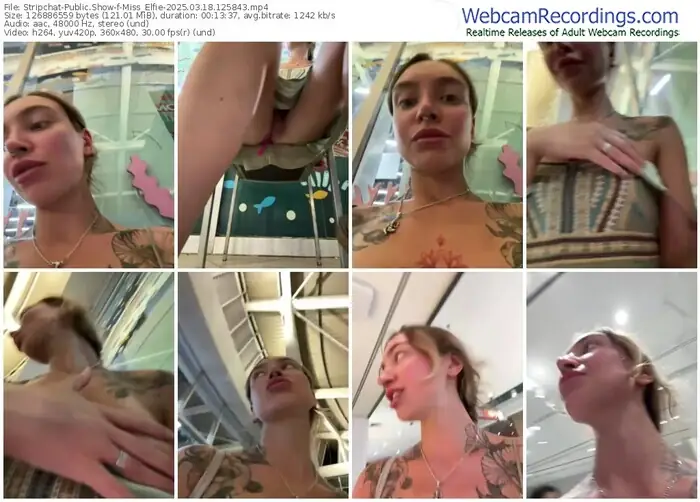 stripchat-miss_elfie-03-18-2025-12-58-43