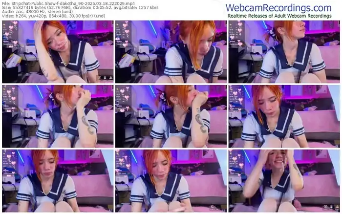 stripchat-dakotha_90-03-18-2025-22-20-29