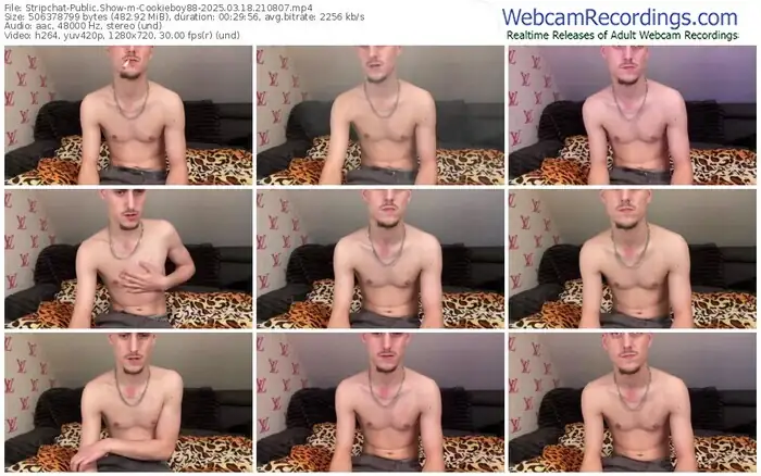 stripchat-cookieboy88-03-18-2025-21-08-07