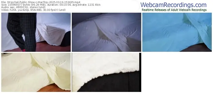 stripchat-mactroy-03-19-2025-15-36-35
