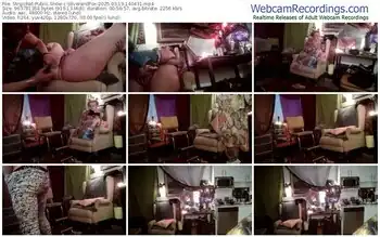 stripchat-silverandfox-03-19-2025-14-04-31