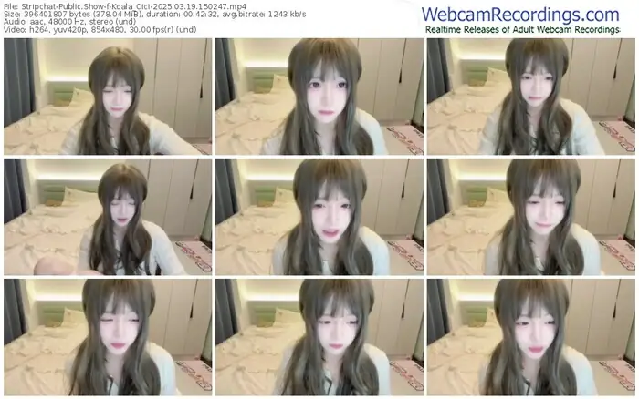 stripchat-koala_cici-03-19-2025-15-02-47