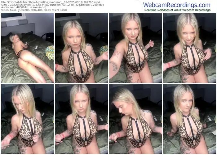 stripchat-josefine_svensson__02-03-19-2025-20-17-00