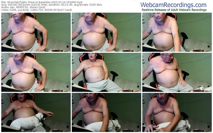 stripchat-barenfan-03-19-2025-19-34-59