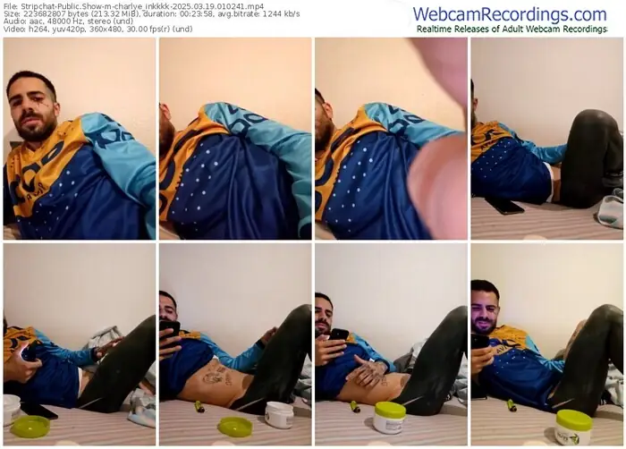stripchat-charlye_inkkkk-03-19-2025-01-02-41