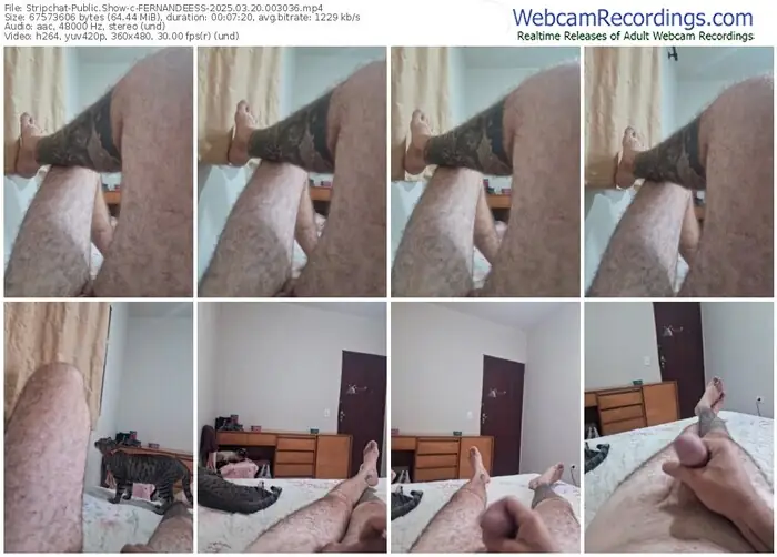 stripchat-fernandeess-03-20-2025-00-30-36
