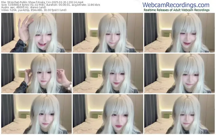 stripchat-koala_cici-03-20-2025-13-31-14