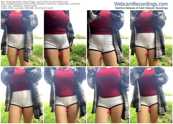 stripchat-nabi_squirt-03-20-2025-01-48-07