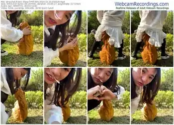 stripchat-pipi-666-03-20-2025-00-49-29