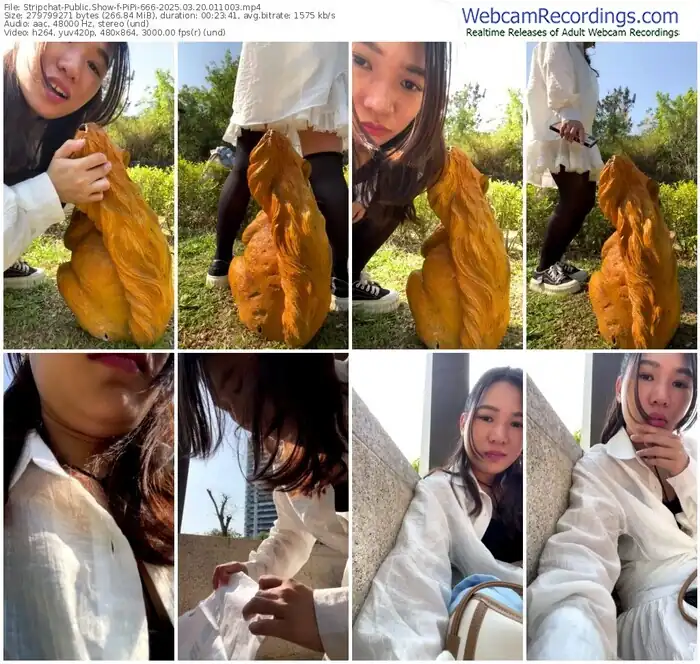 stripchat-pipi-666-03-20-2025-01-10-03