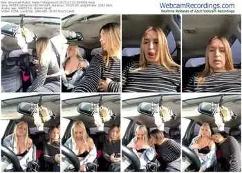 stripchat-stasywood-03-20-2025-04-49-58