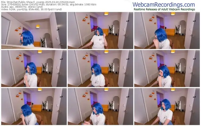 stripchat-_vixenp-03-20-2025-23-52-24