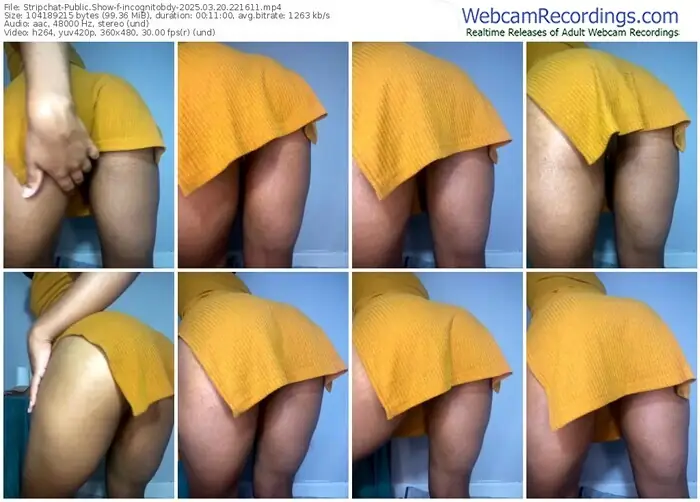 stripchat-incognitobdy-03-20-2025-22-16-11