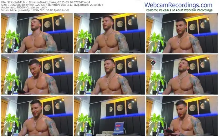 stripchat-david_blake_-03-20-2025-07-25-47