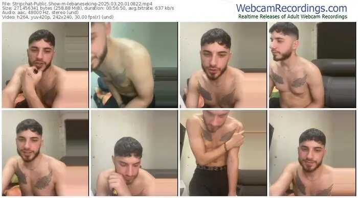 stripchat-lebaneseking-03-20-2025-01-08-22