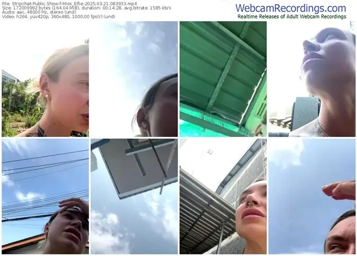 stripchat-miss_elfie-03-21-2025-08-39-33