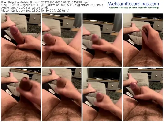 stripchat-22tt2295-03-21-2025-04-59-38