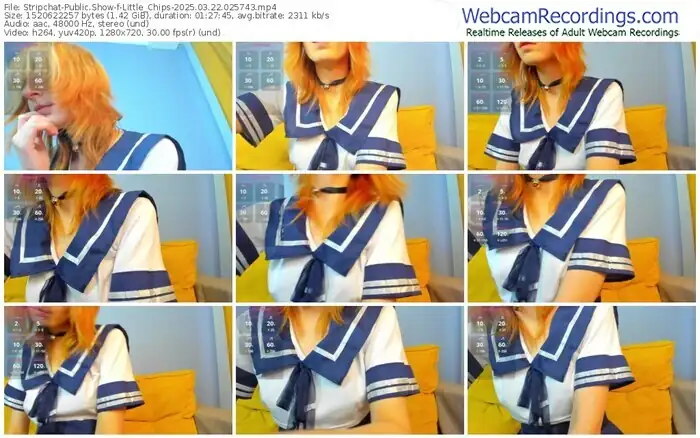 stripchat-little_chips-03-22-2025-02-57-43