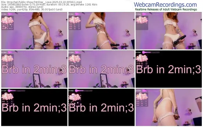 stripchat-willow__love-03-22-2025-00-56-11