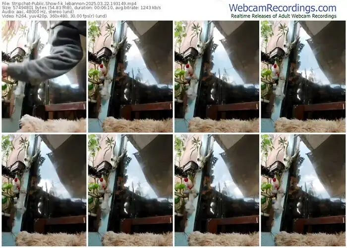 stripchat-k_lebannon-03-22-2025-19-31-49
