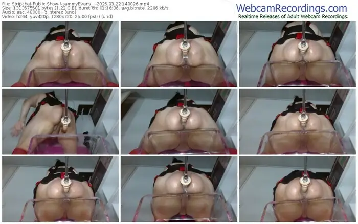 stripchat-sammyevans__-03-22-2025-14-00-26