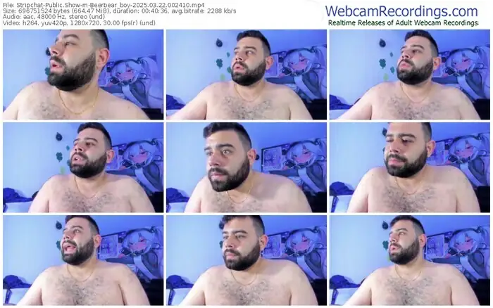 stripchat-beerbear_boy-03-22-2025-00-24-10