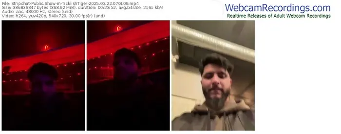stripchat-ticklishtiger-03-22-2025-07-01-09