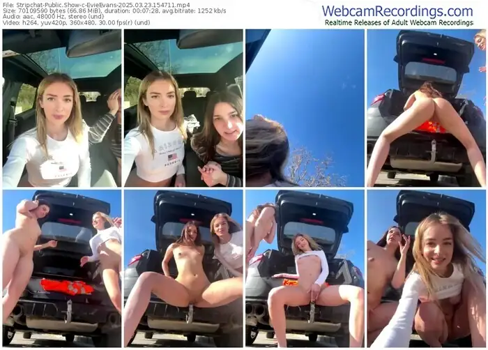 stripchat-evieevans-03-23-2025-15-47-11