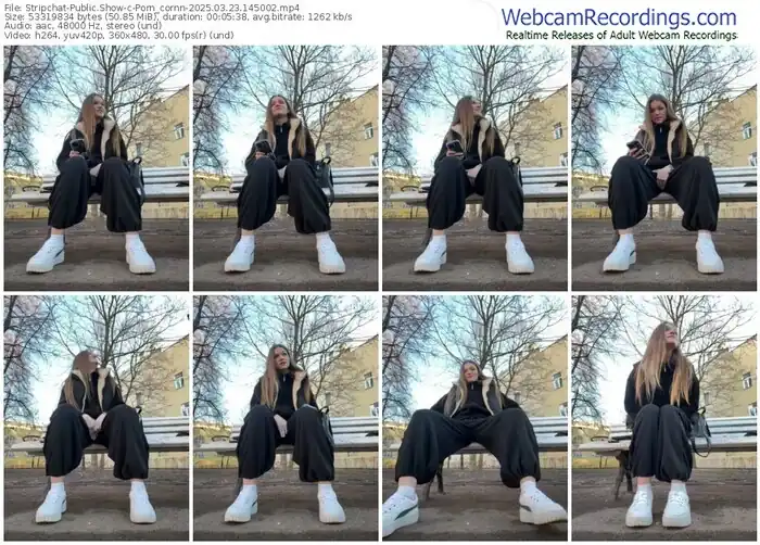 stripchat-porn_cornn-03-23-2025-14-50-02