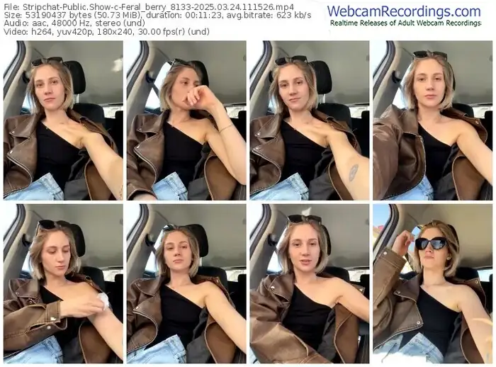 stripchat-feral_berry_8133-03-24-2025-11-15-26