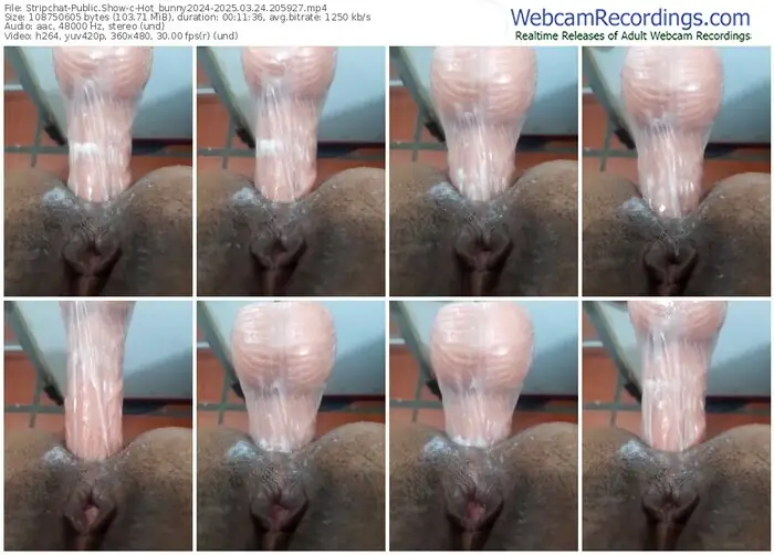 stripchat-hot_bunny2024-03-24-2025-20-59-27